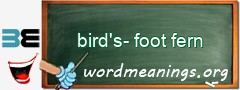 WordMeaning blackboard for bird's-foot fern